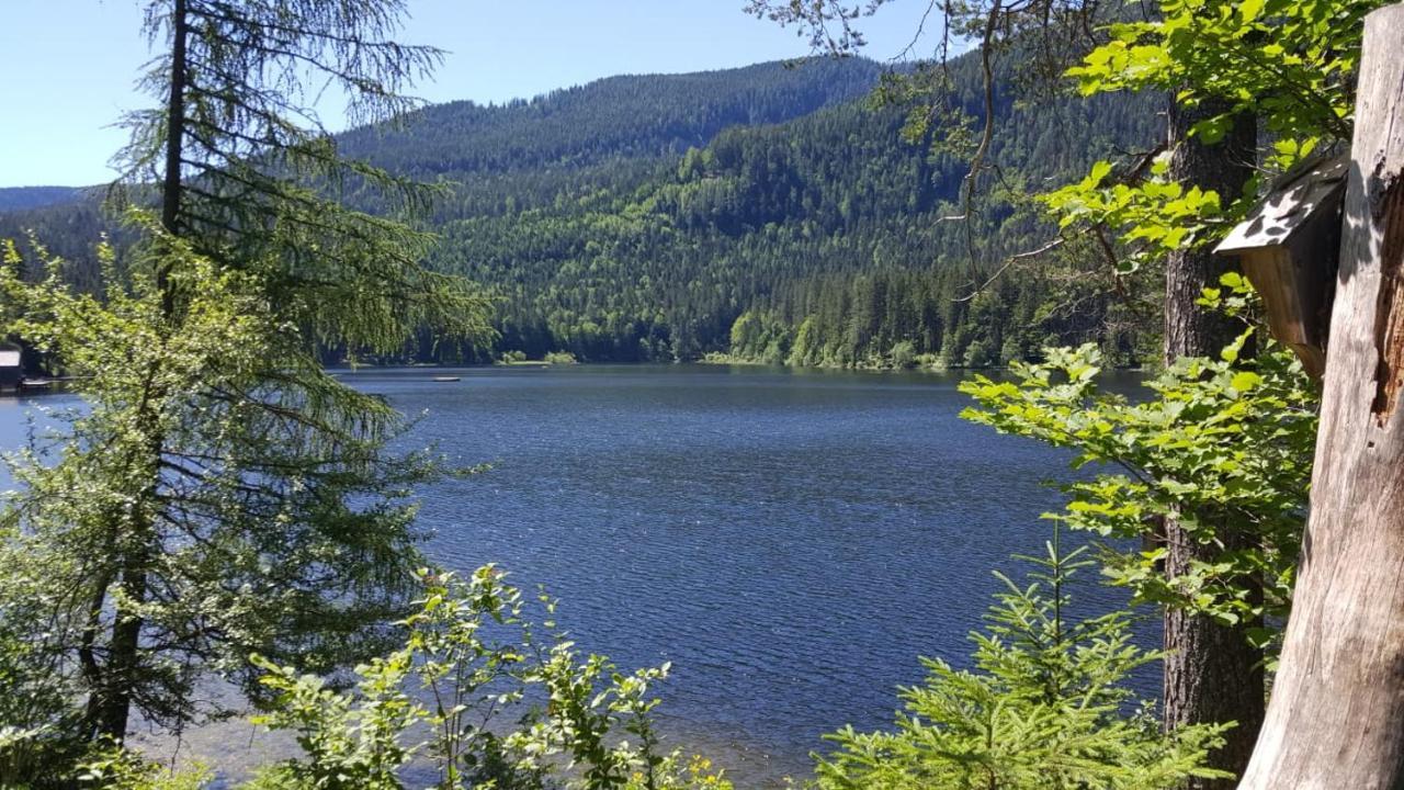 Ferienwohnung Grimmingblick - Auszeit Vom Alltag Obersdorf Ngoại thất bức ảnh